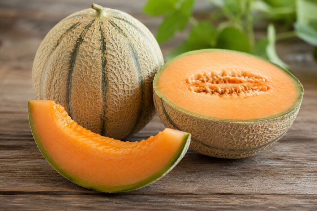 les bienfaits du melon par votre diététicienne à Périgueux